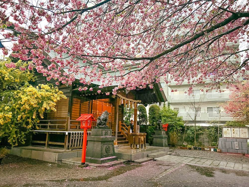 ⛩️ 쿠라마에 신사(蔵前神社)